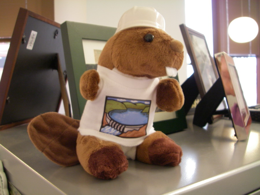 Steph's Dam Beaver