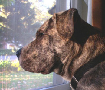 Riley's Calendar Photo